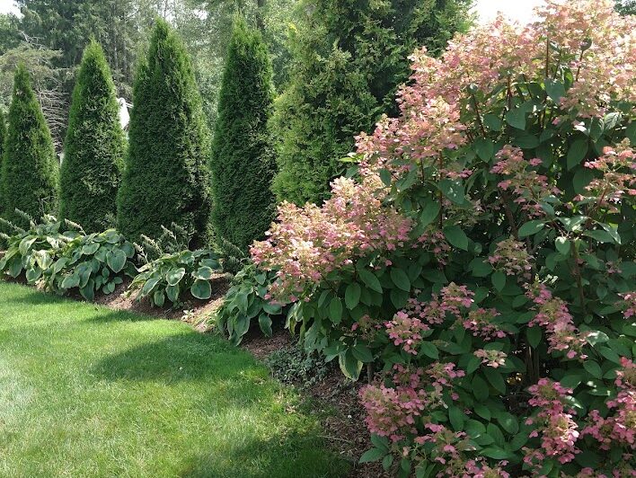 Plantings1