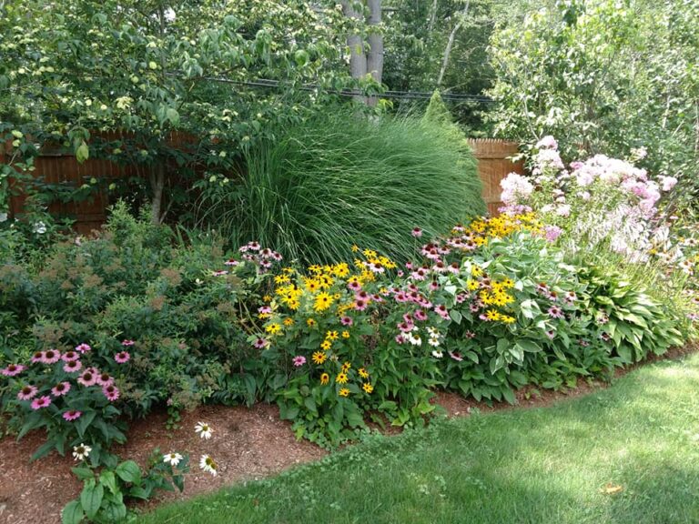 Plantings7